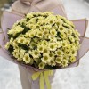 Букет из 25 кремовых хризантем Сантини