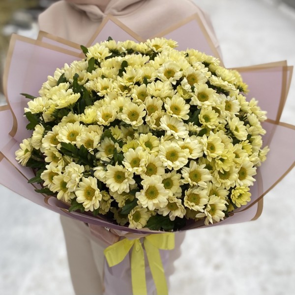 Букет из 25 кремовых хризантем Сантини