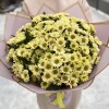Букет из 25 кремовых хризантем Сантини