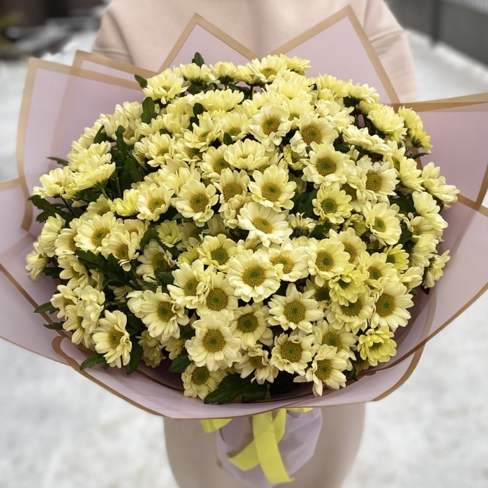 Букет из 25 кремовых хризантем Сантини