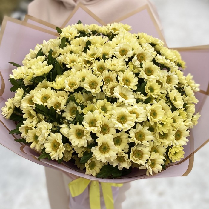 Букет из 25 кремовых хризантем Сантини