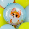 Шар круглый С Днем Рождения корги