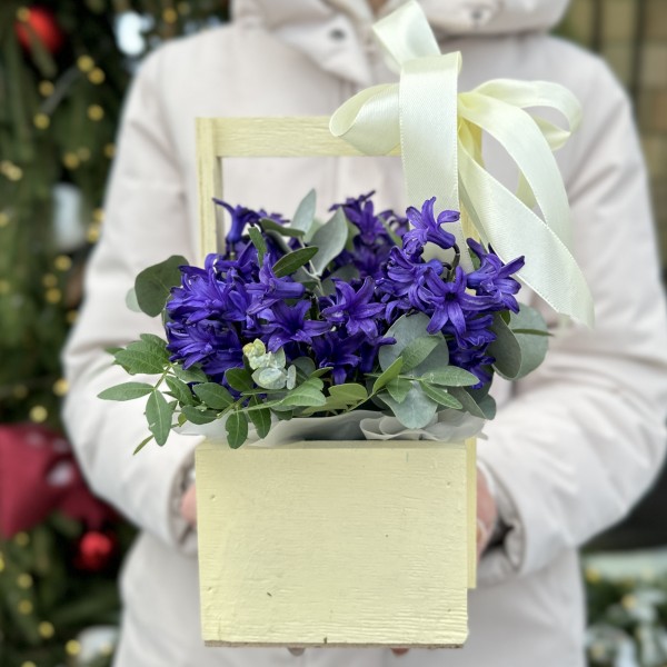 Синие гиацинты в деревянном ящике