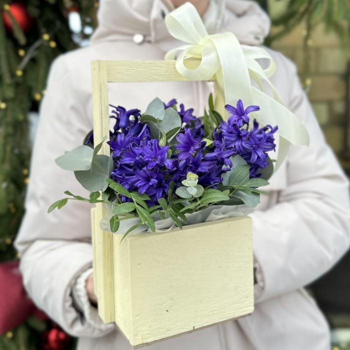 Синие гиацинты в деревянном ящике