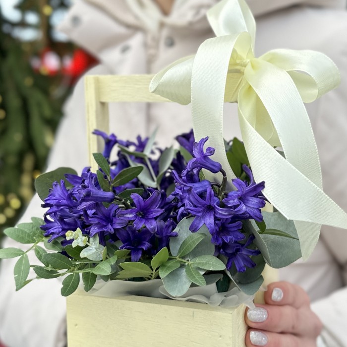 Синие гиацинты в деревянном ящике