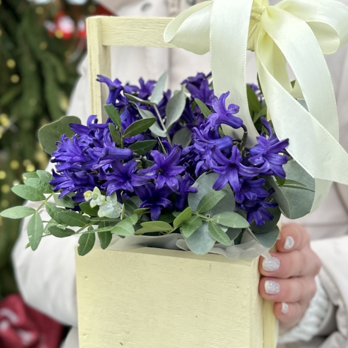 Синие гиацинты в деревянном ящике