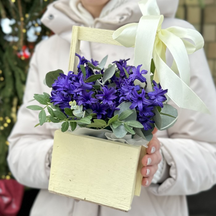 Синие гиацинты в деревянном ящике