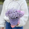 Сиреневая гипсофила в плетенной корзине