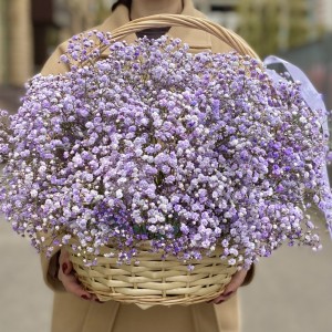 Сиреневая гипсофила в корзине