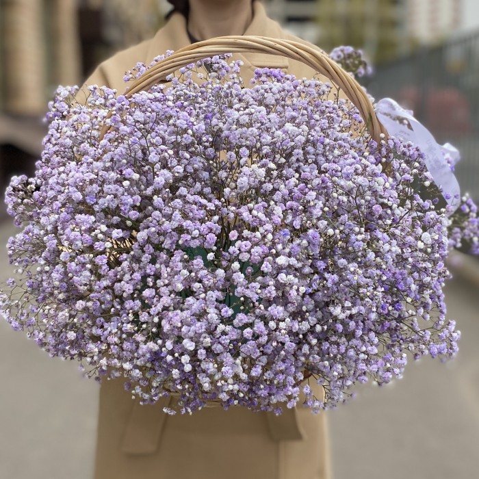 Сиреневая гипсофила в корзине