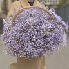 Сиреневая гипсофила в корзине