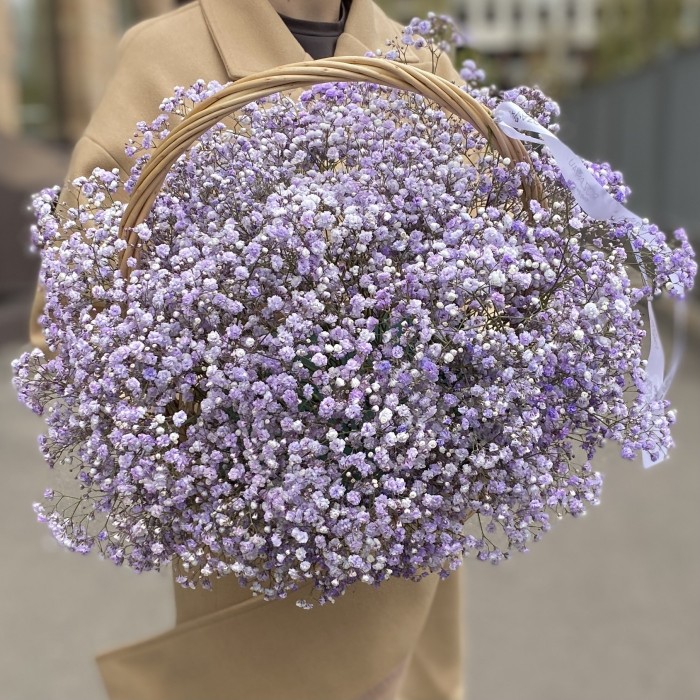 Сиреневая гипсофила в корзине