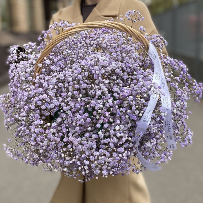 Сиреневая гипсофила в корзине
