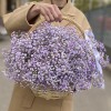 Сиреневая гипсофила в корзине