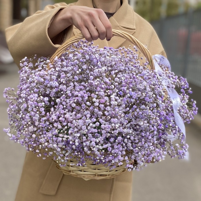 Сиреневая гипсофила в корзине