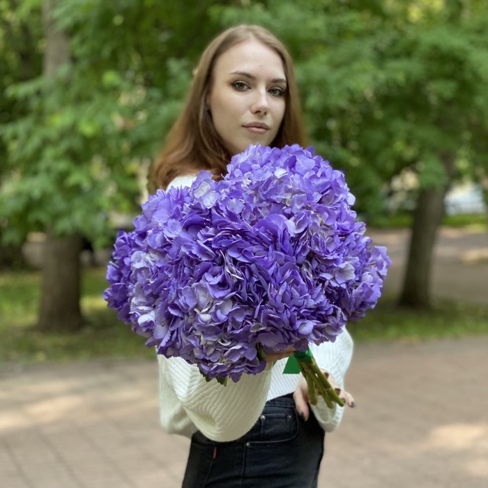 Сиреневая гортензия