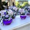 Сиреневая композиция в стеклянном шаре