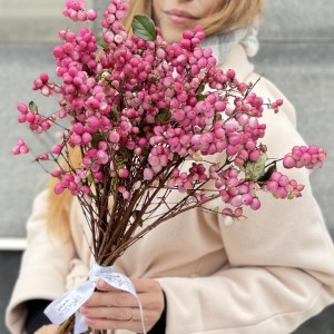 Снежноягодник розовый