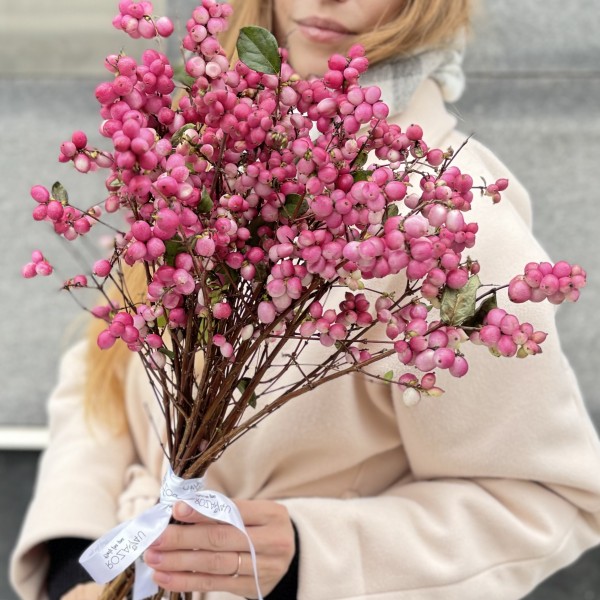 Снежноягодник розовый