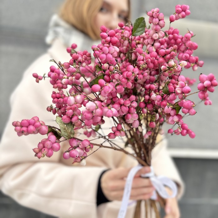 Снежноягодник розовый