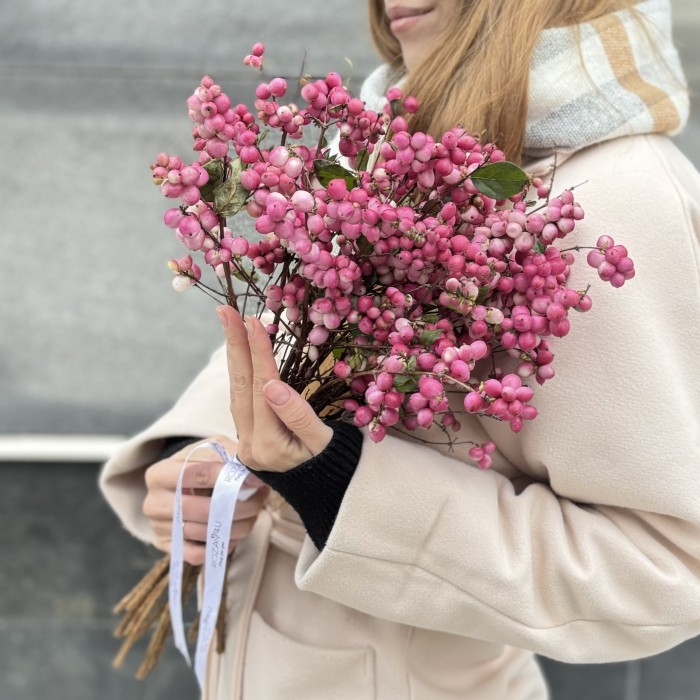 Снежноягодник розовый