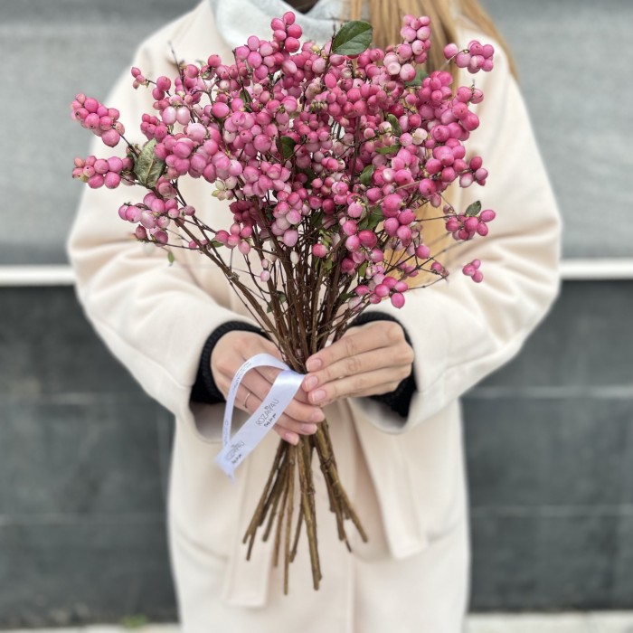 Снежноягодник розовый