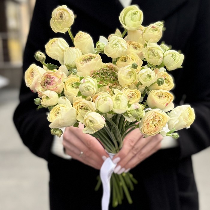 Светло-жёлтый ранункулюс