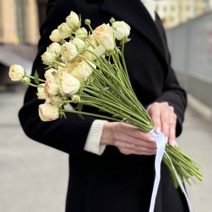 Светло-жёлтый ранункулюс