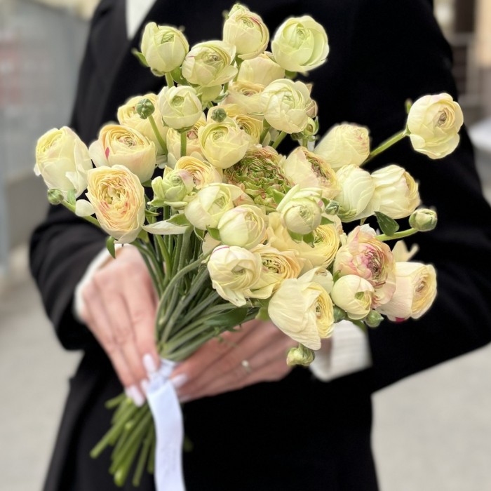 Светло-жёлтый ранункулюс