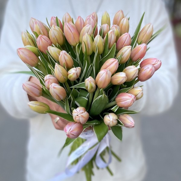 Тюльпан Марк Дизайн