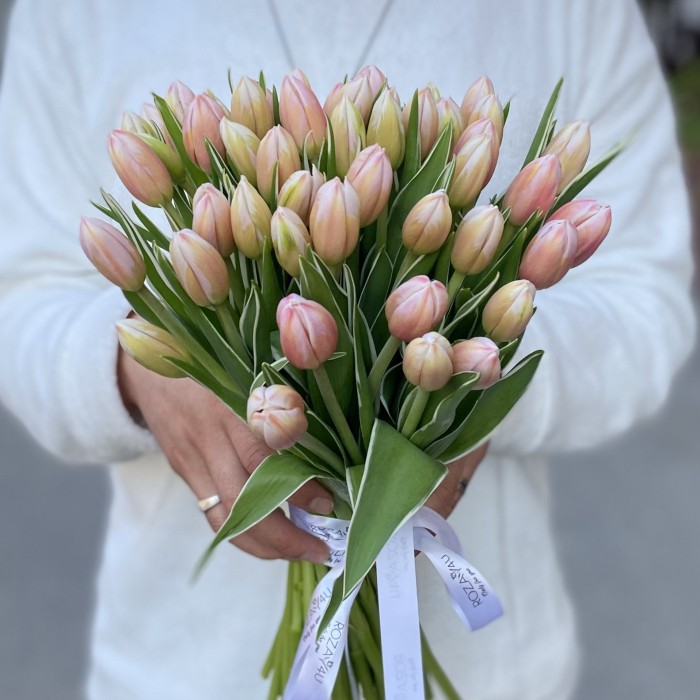 Тюльпан Марк Дизайн