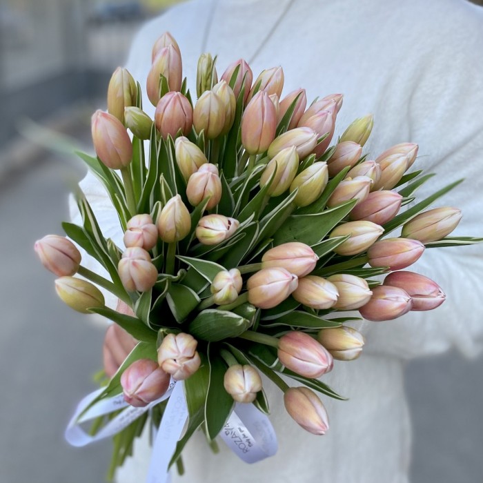 Тюльпан Марк Дизайн