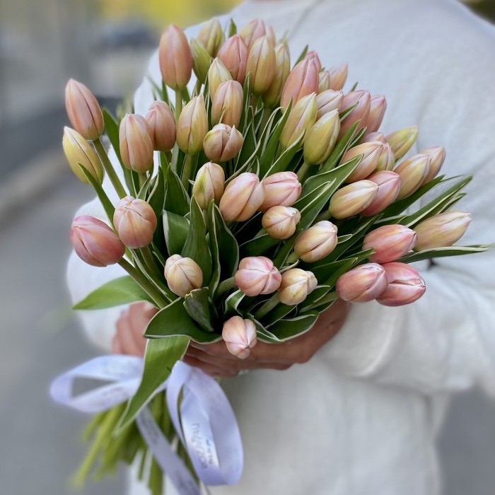 Тюльпан Марк Дизайн