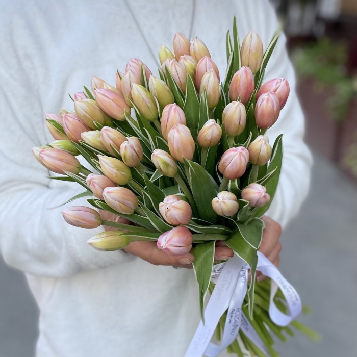 Тюльпан Марк Дизайн