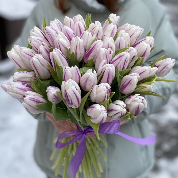 Тюльпан бело-фиолетовый Флеминг Флег (Flaming Flag)