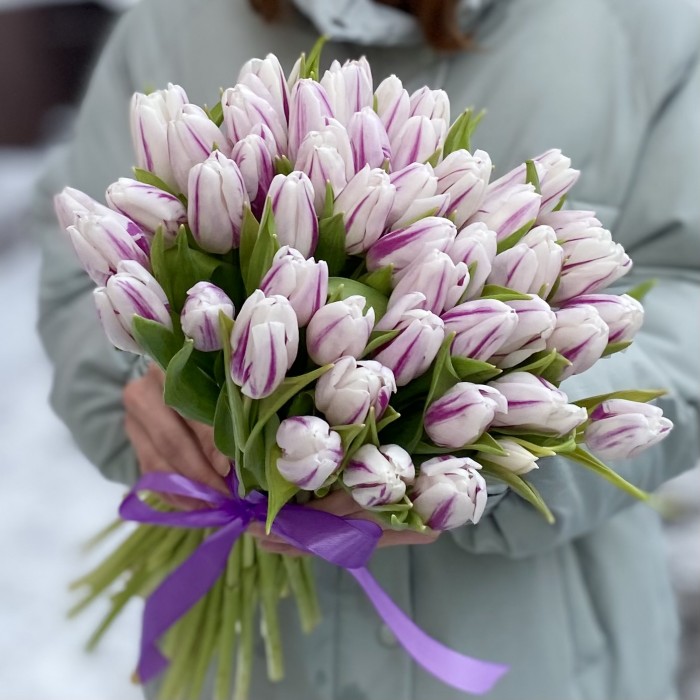 Тюльпан бело-фиолетовый Флеминг Флег (Flaming Flag)