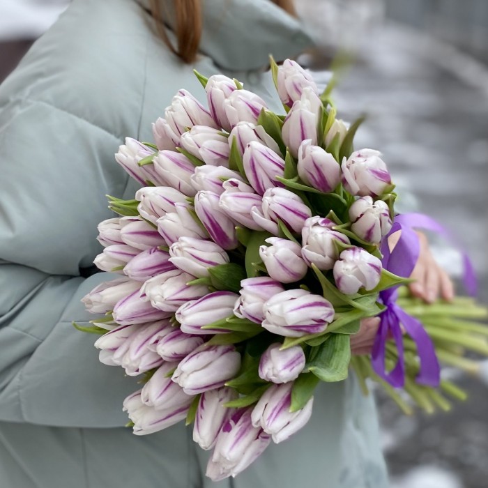 Тюльпан бело-фиолетовый Флеминг Флег (Flaming Flag)