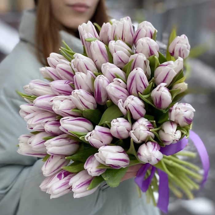 Тюльпан бело-фиолетовый Флеминг Флег (Flaming Flag)