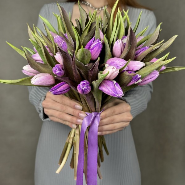 Тюльпан фуксия