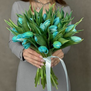 Тюльпан бирюзовый