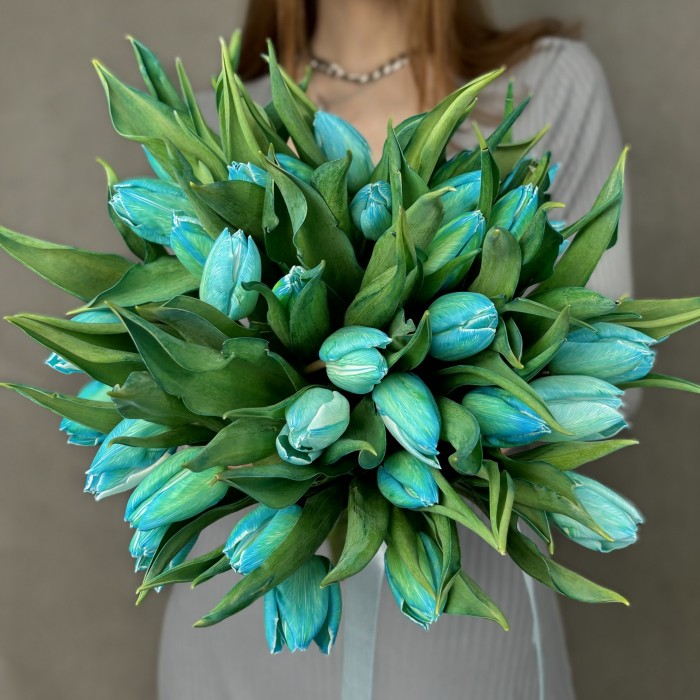 Тюльпан бирюзовый