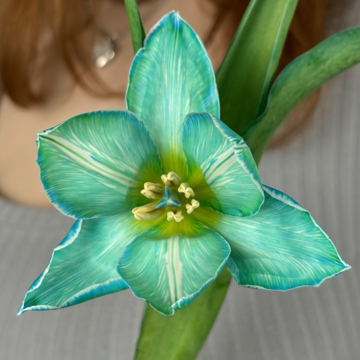 Тюльпан бирюзовый