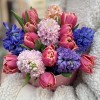 Тюльпан и гиацинт в коробке с котиком
