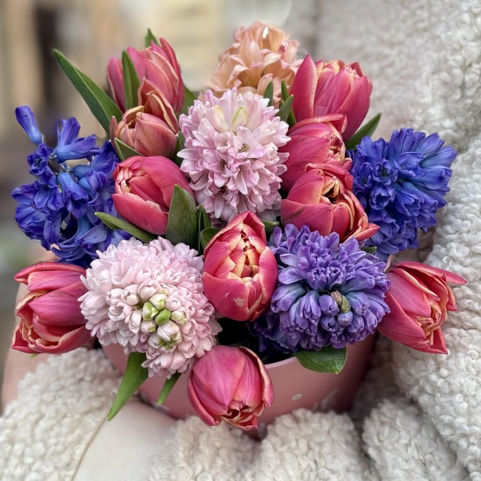 Тюльпан и гиацинт в коробке с котиком