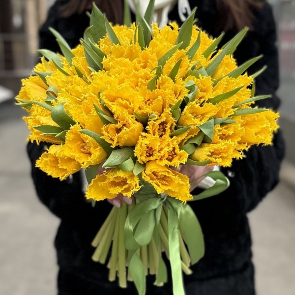 Тюльпан махровый Желтый