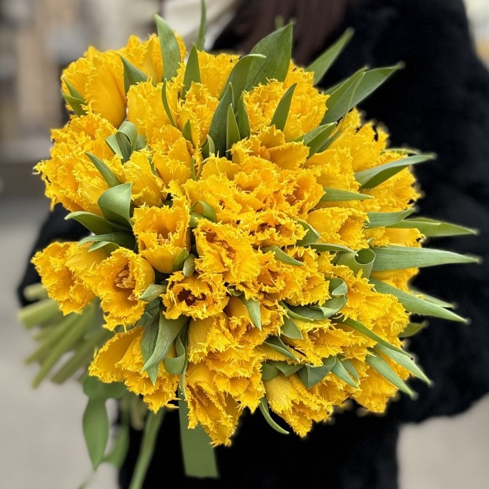 Тюльпан махровый Желтый