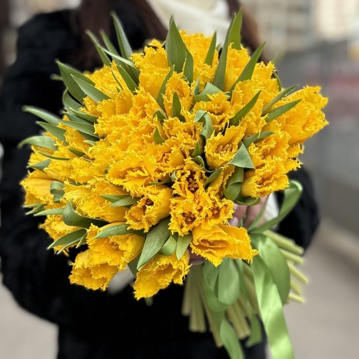 Тюльпан махровый Желтый