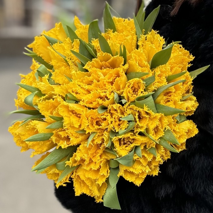 Тюльпан махровый Желтый