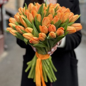 Тюльпан оранжевый Тайм аут