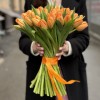 Тюльпан оранжевый Тайм аут